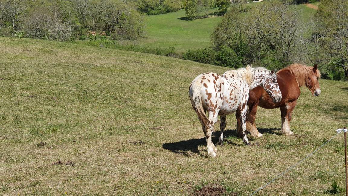 Photo of Others in Puy-l'Eveque