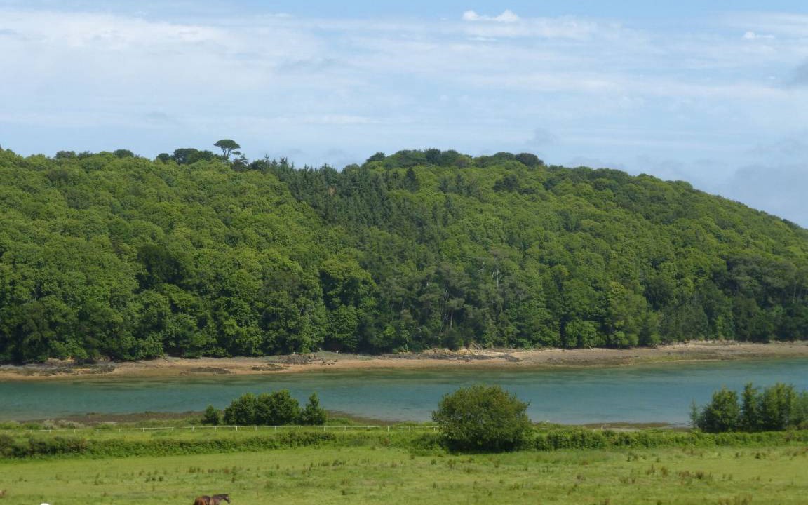 Photo of Outdoor in Plouezec
