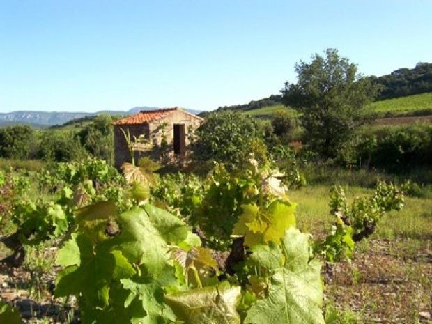 Photo of Outdoor in Estagel