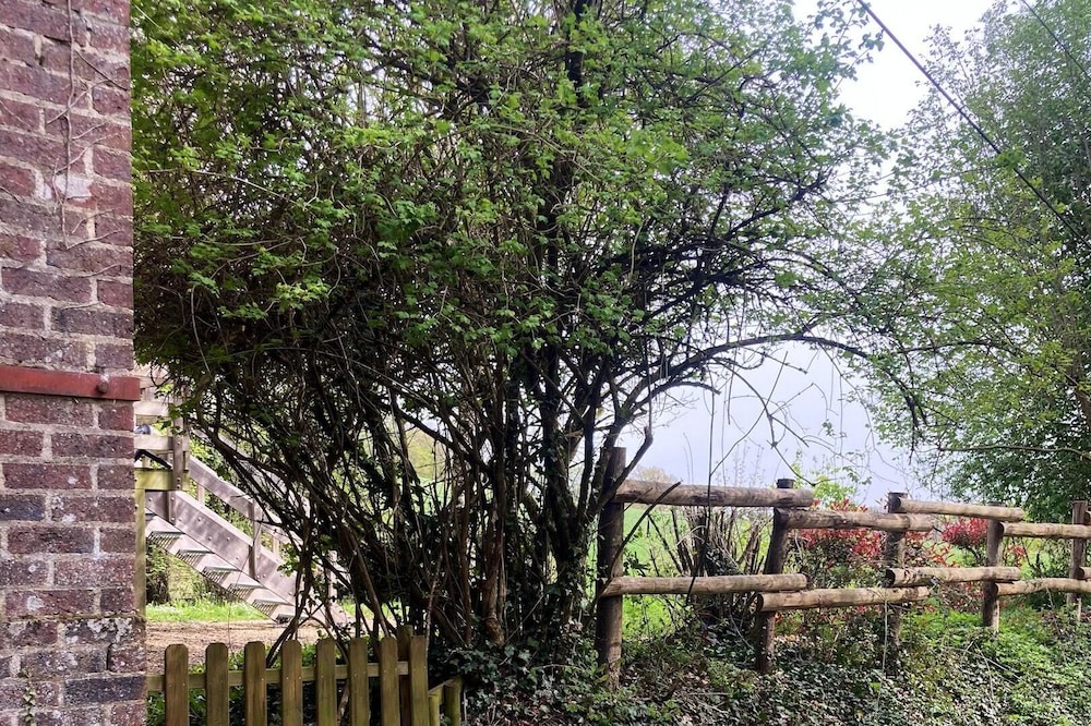 Photo of Outdoor in Jupilles