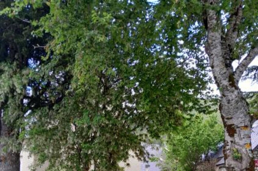Photo of Outdoor in Genos