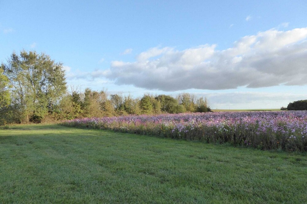 Photo of Outdoor in Giroux