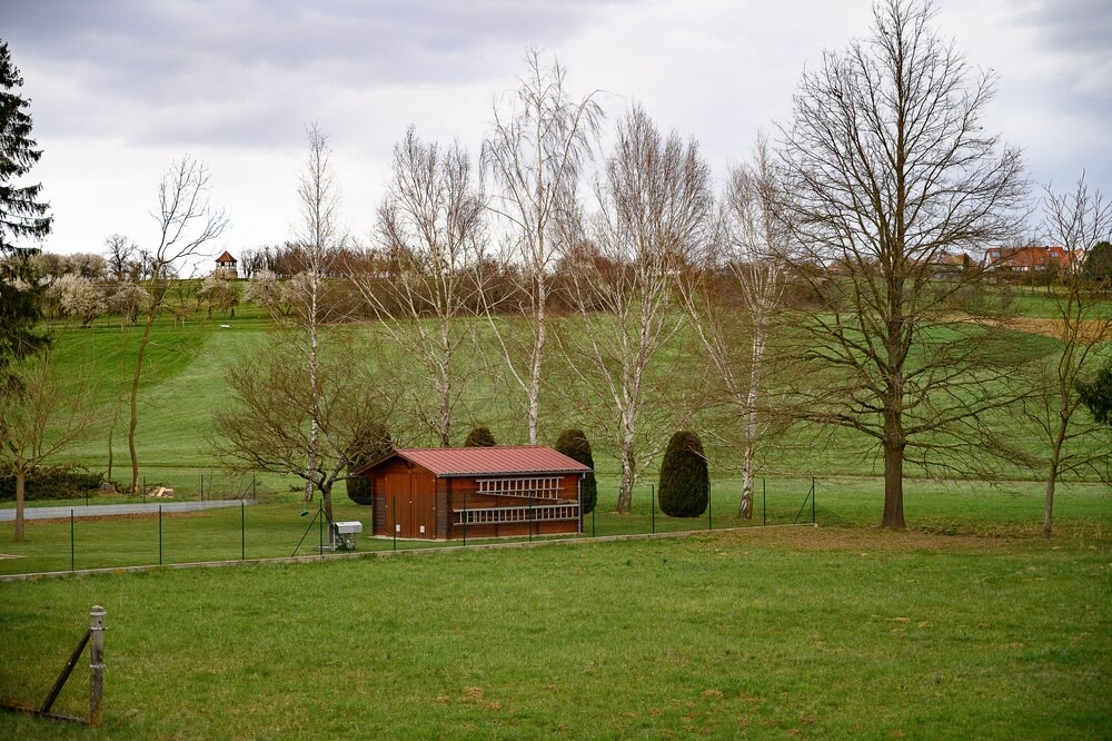 Photo of Outdoor in Soultz-sous-Forets