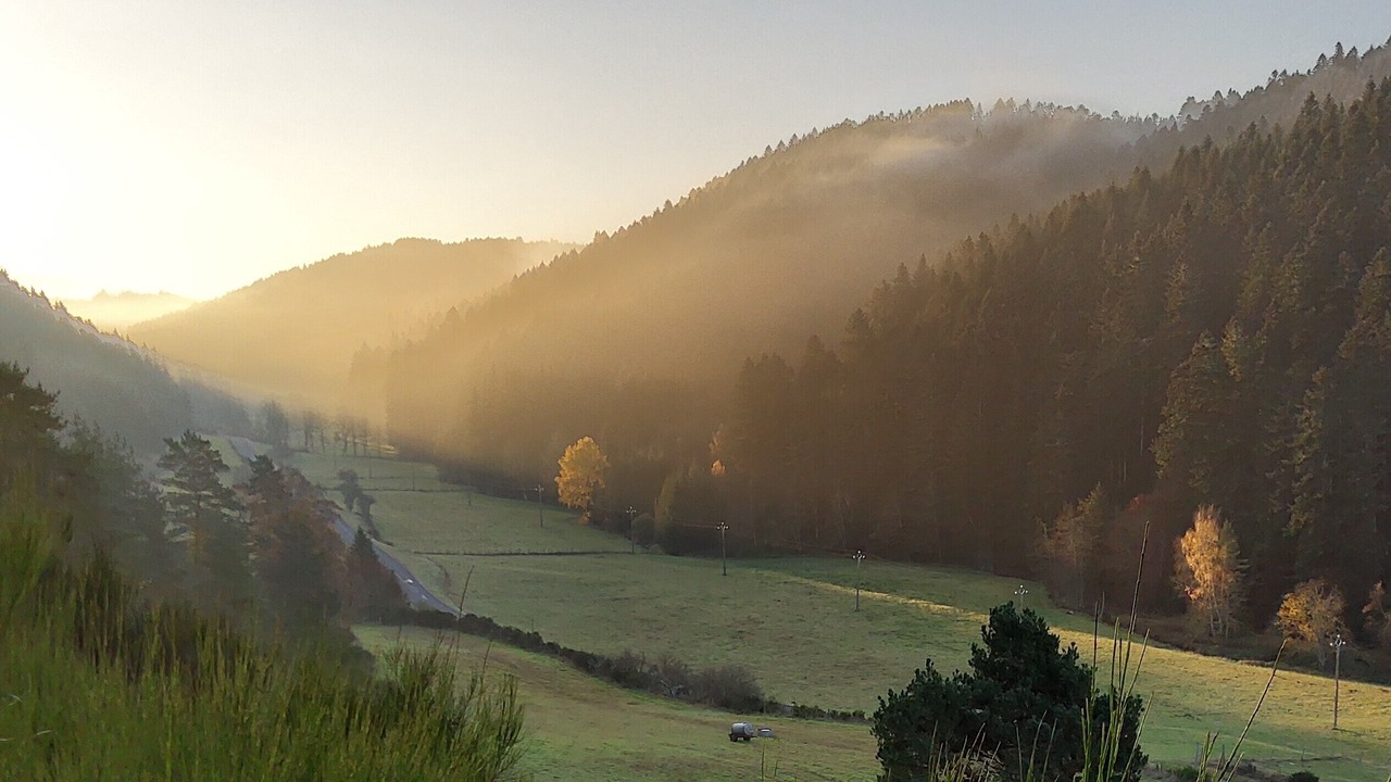 Photo of Outdoor in Saint-Pal-de-Senouire