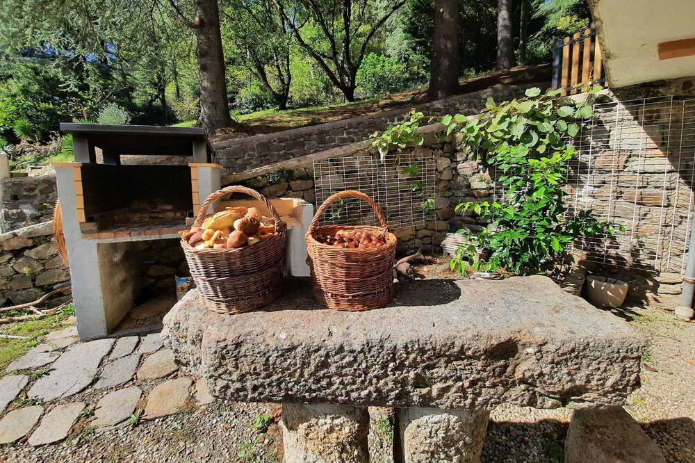 Photo of Outdoor in Genolhac