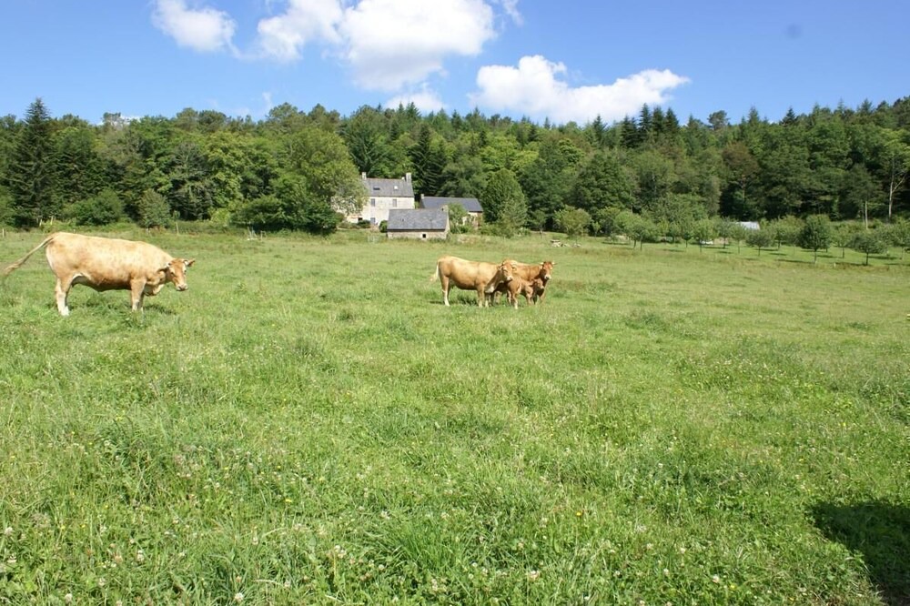 Photo of Outdoor in Lanvenegen