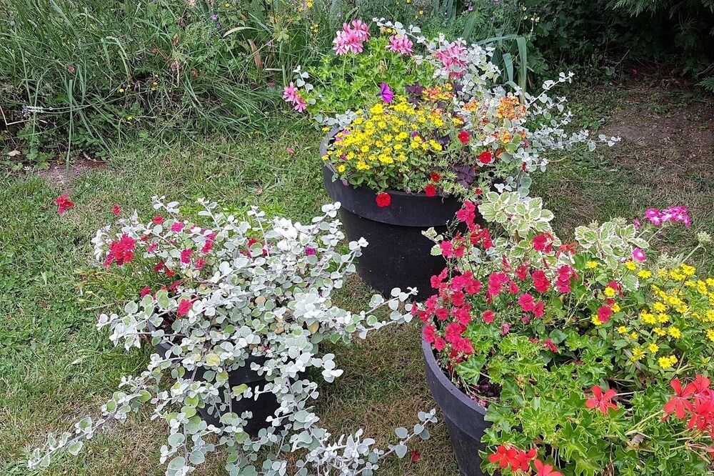 Photo of Outdoor in Saint-Symphorien