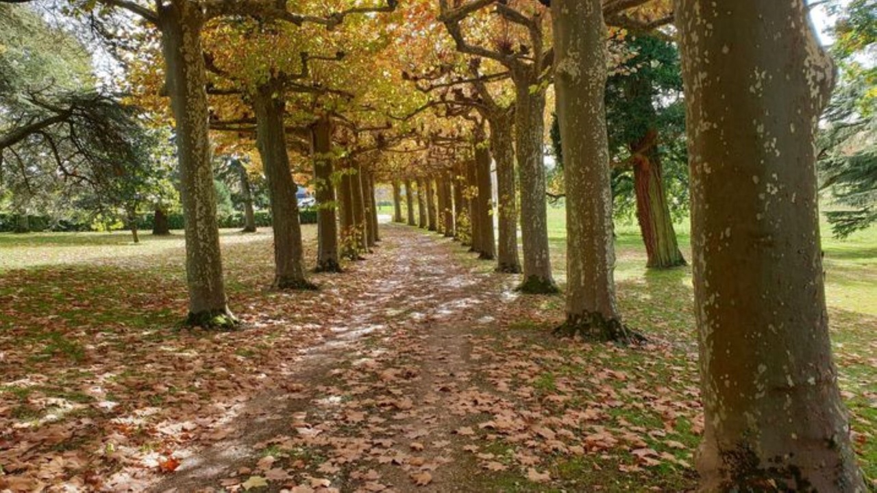 Photo of Outdoor in Valence