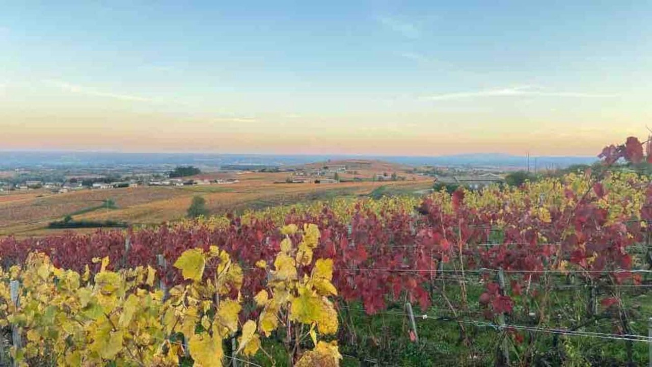 Photo of Outdoor in Villie-Morgon