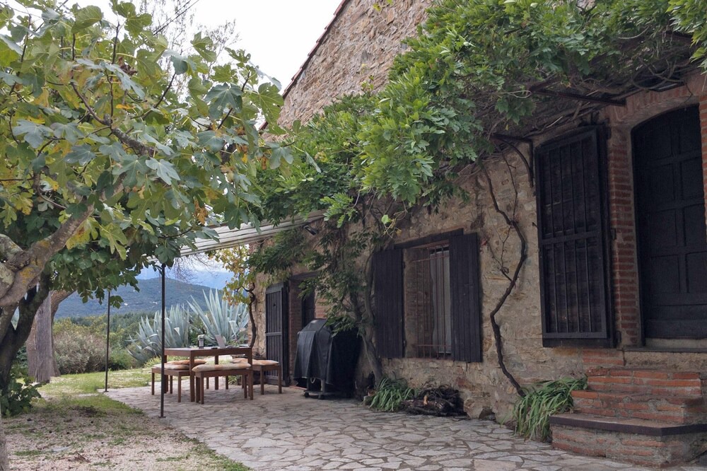 Photo of Others in Castelnou
