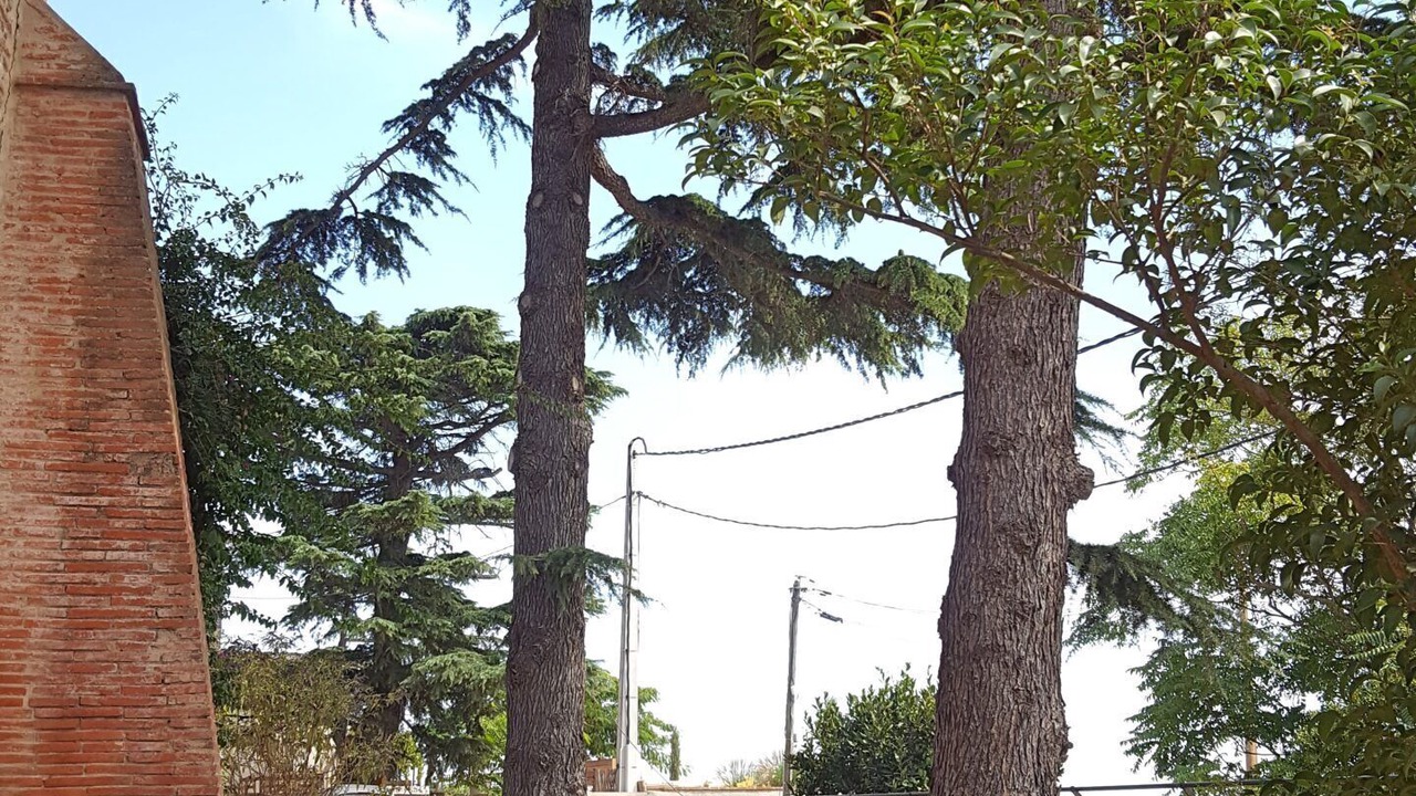 Photo of Outdoor in Bompas
