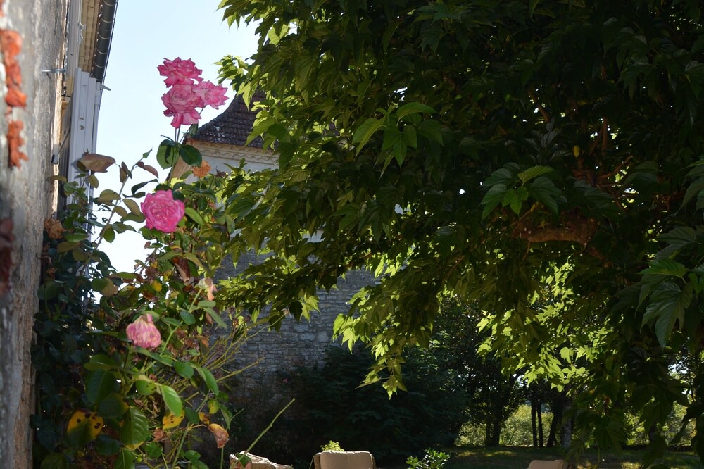Photo of Outdoor in Caylus