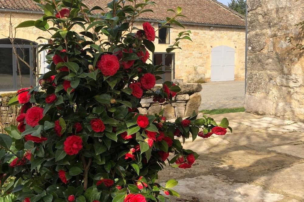 Photo of Outdoor in Caylus