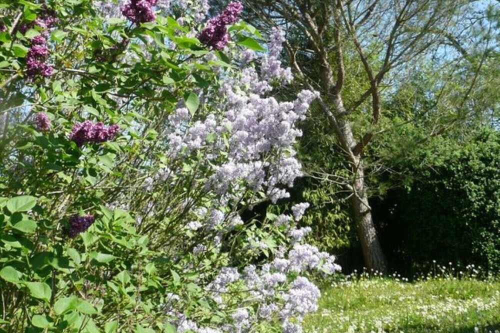 Photo of Outdoor in Ossages