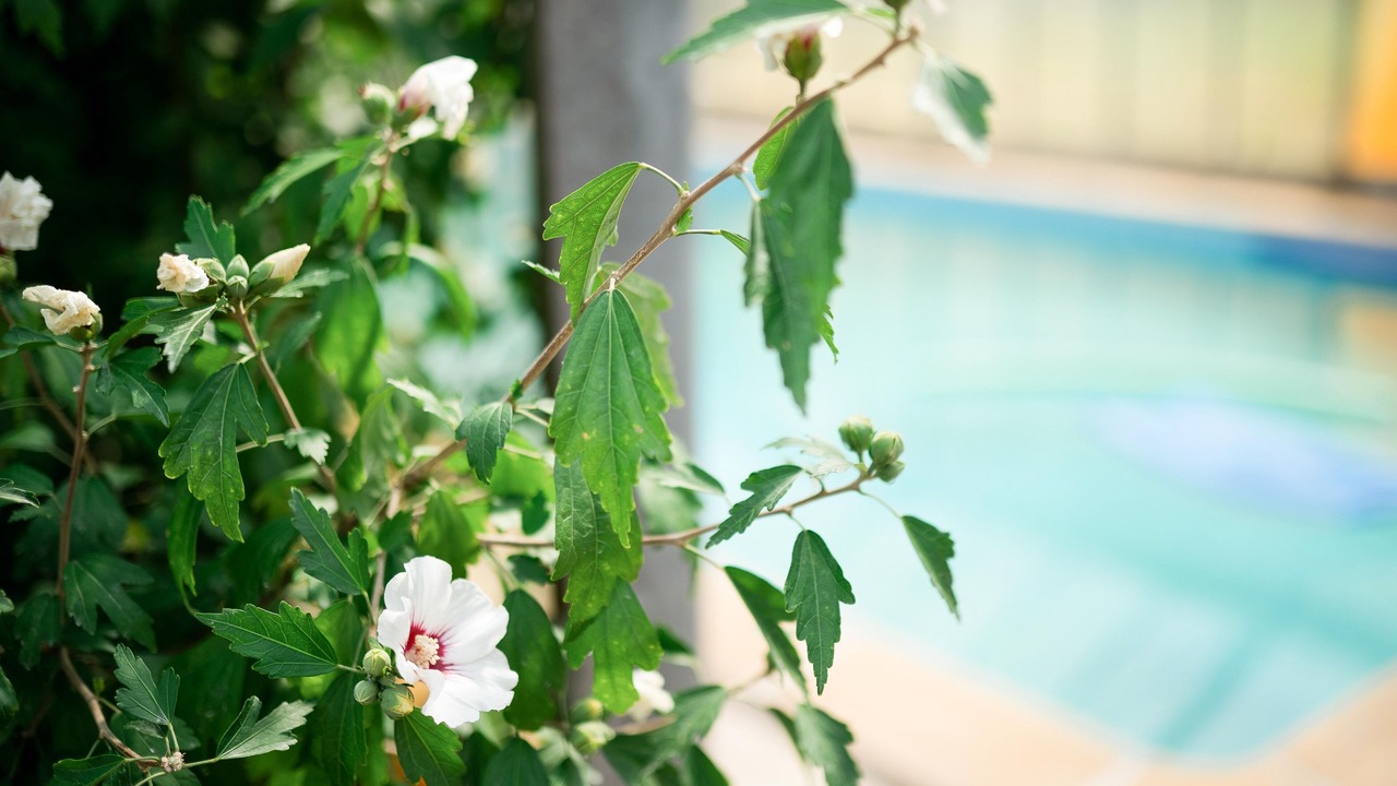 Photo of Outdoor in Saint-Herblon