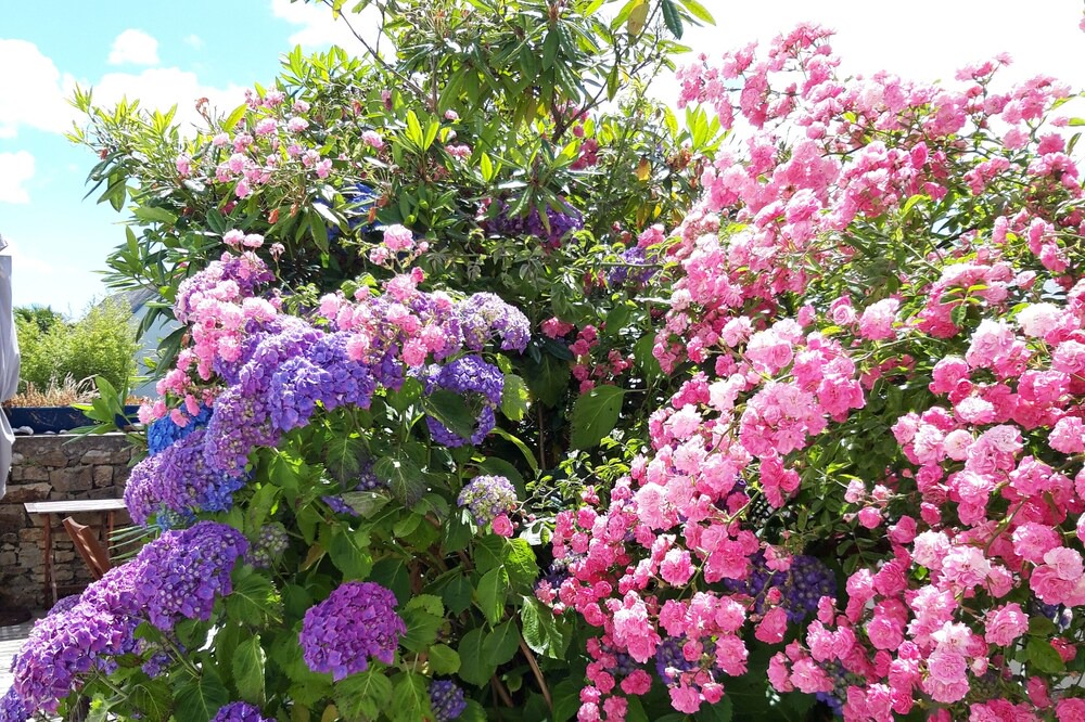 Photo of Outdoor in Finistere