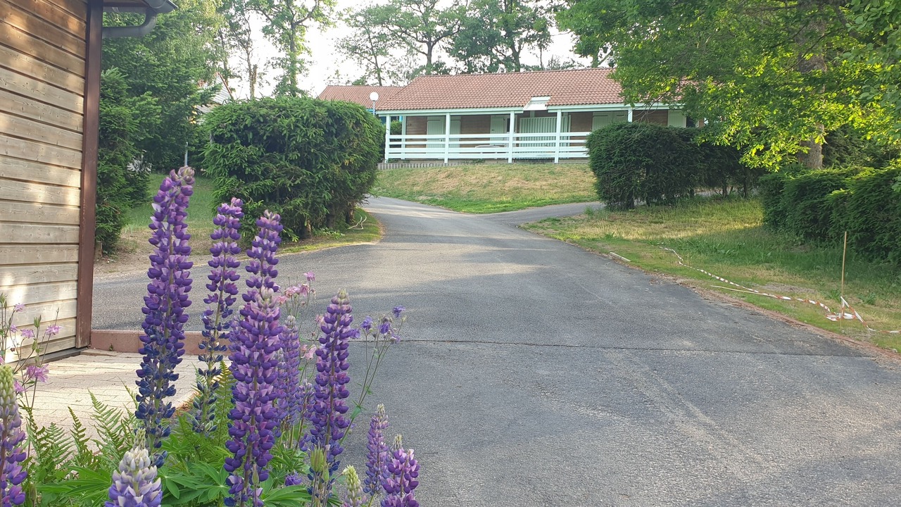 Photo of Outdoor in Blavignac