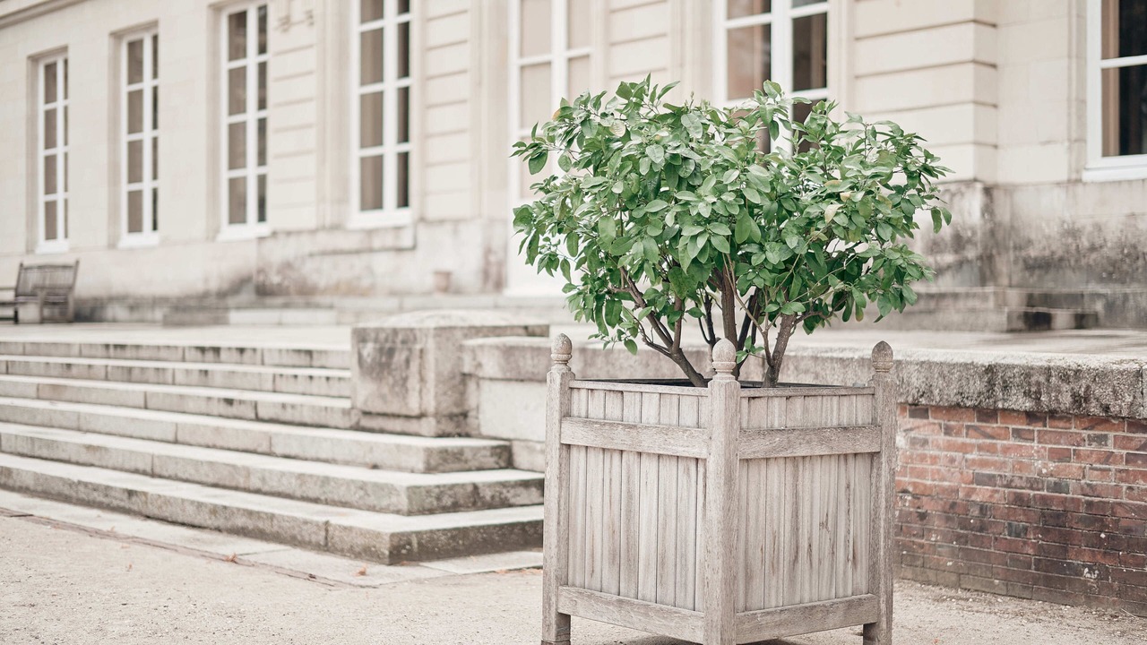 Photo of Outdoor in Craon