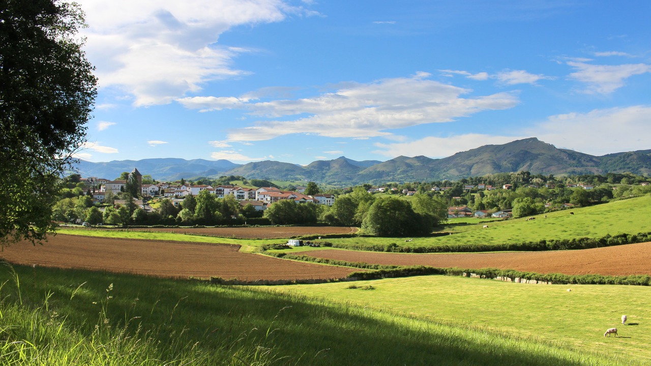 Photo of Outdoor in Sare