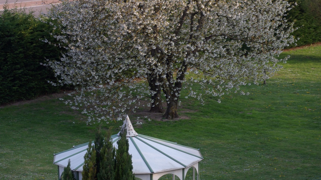Photo of Others in Beaune