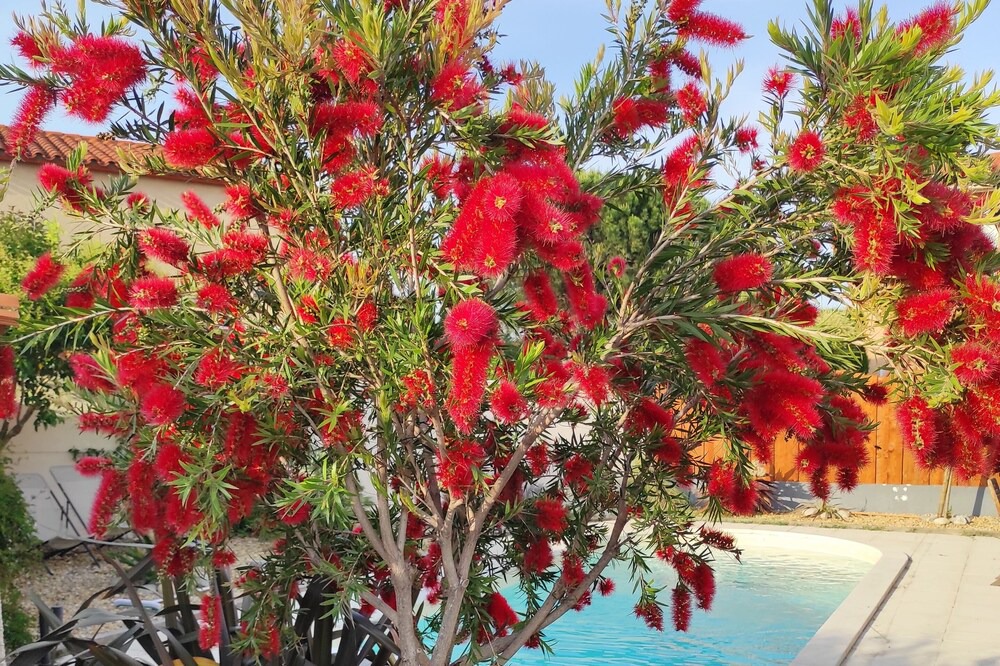 Photo of Outdoor in Cabestany