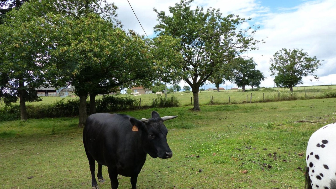 Photo of Outdoor in Saligny-sur-Roudon