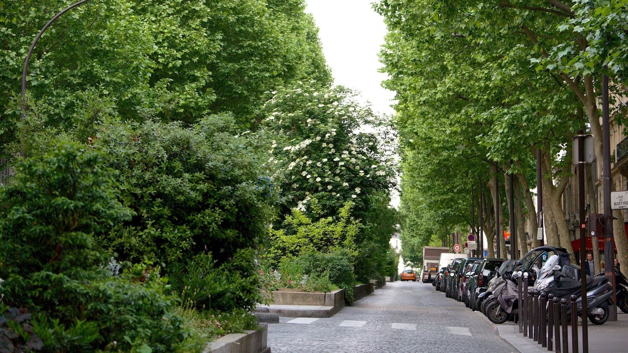 Photo of Outdoor in Quartier de la Porte-Saint-Denis