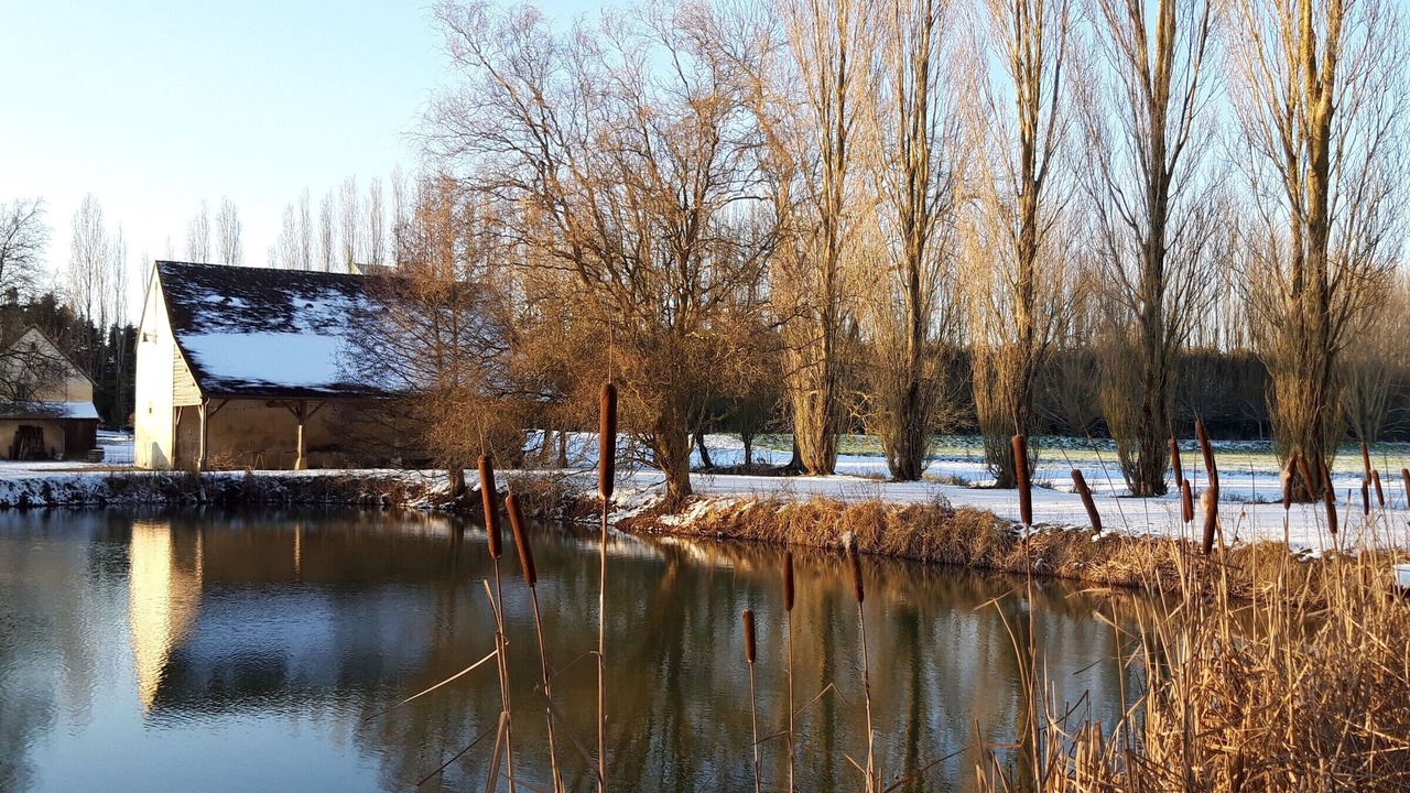 Photo of Others in Monce-en-Saosnois