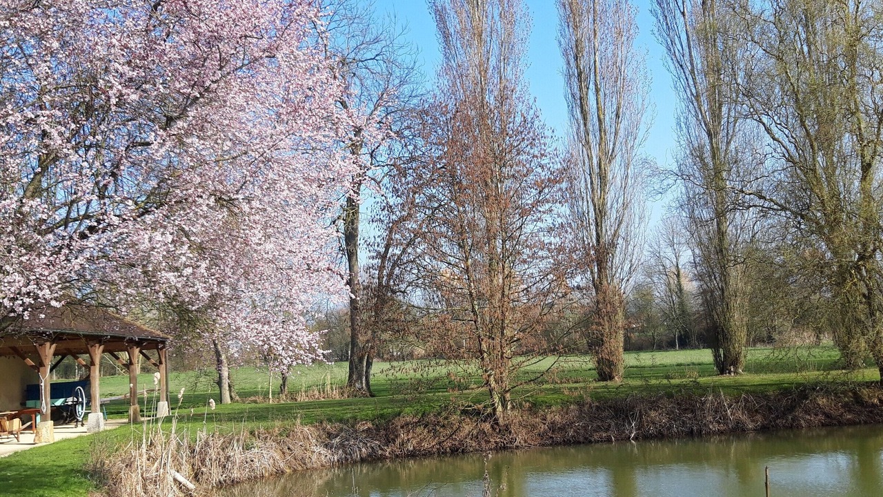 Photo of Outdoor in Monce-en-Saosnois
