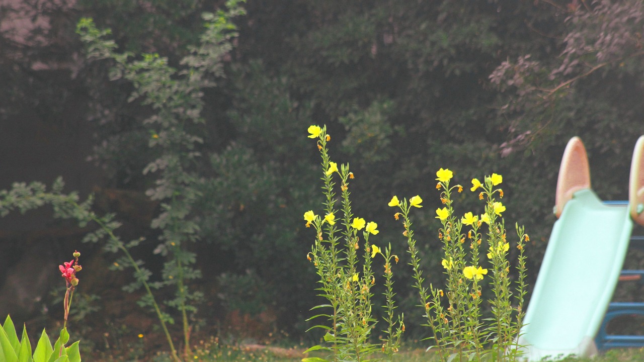 Photo of Outdoor in Montauban