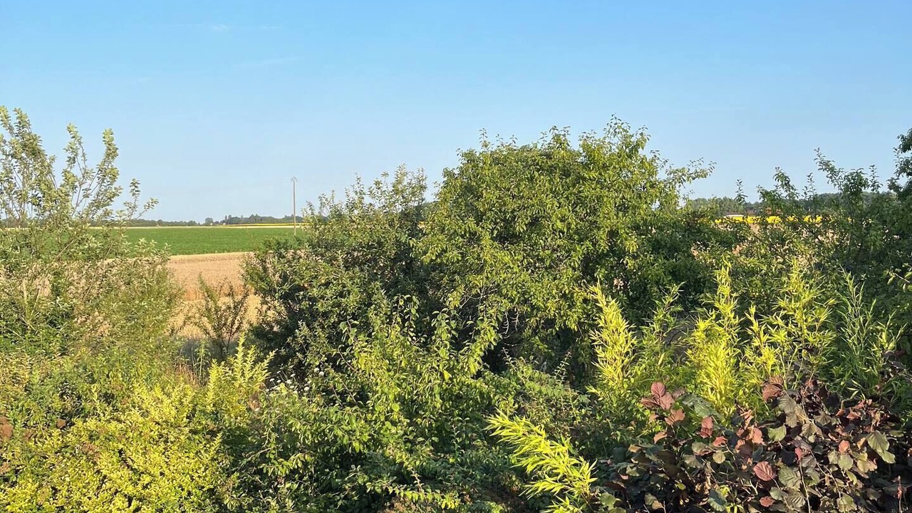 Photo of Outdoor in Saint-Hilaire-les-Andresis