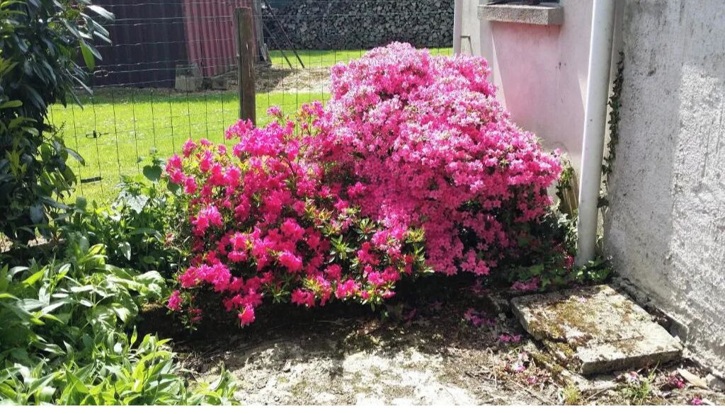 Photo of Outdoor in La Ferte-Gaucher