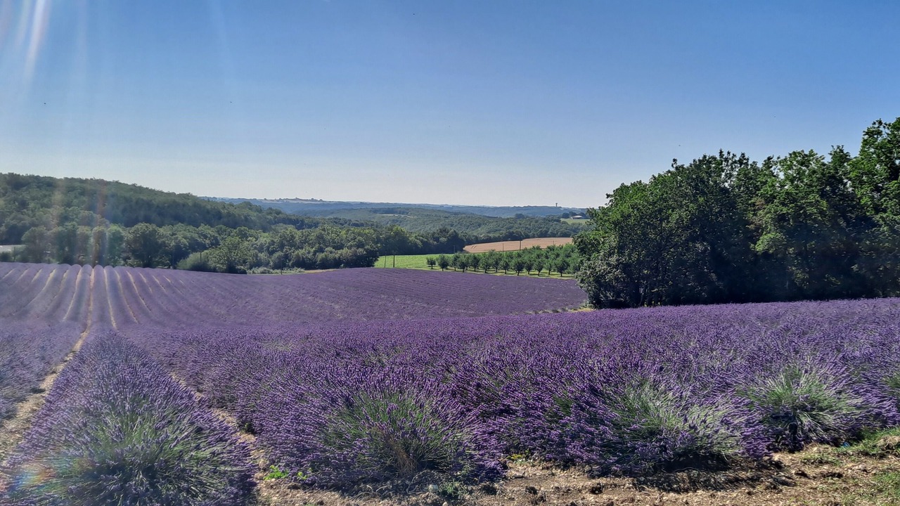Photo of Outdoor in Montaigu-de-Quercy