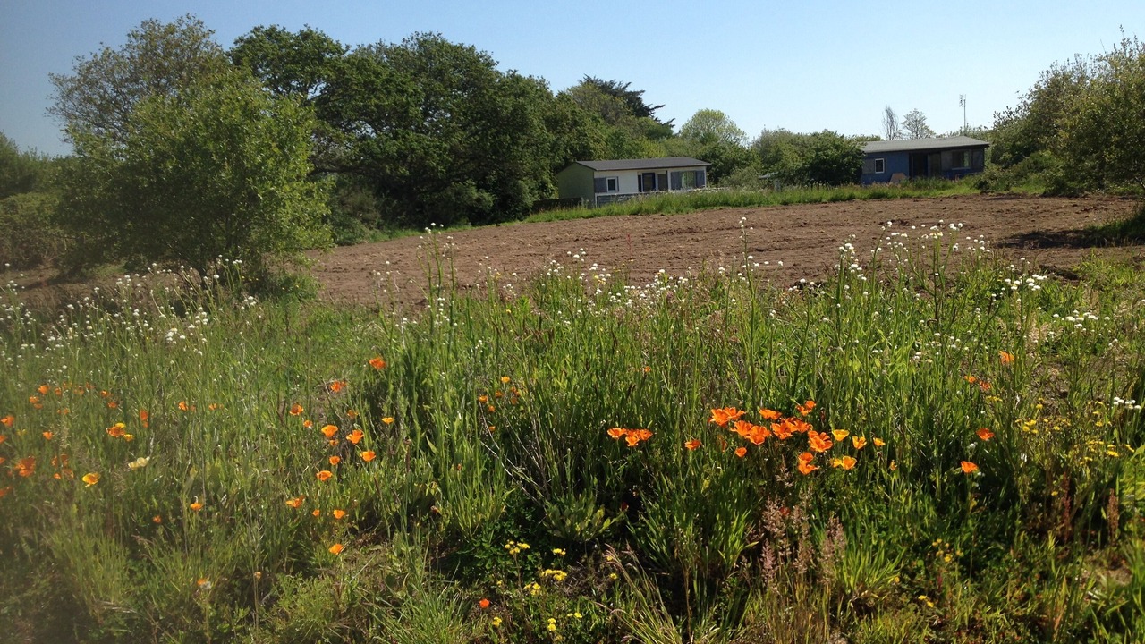 Photo of Outdoor in Pont-l'Abbe