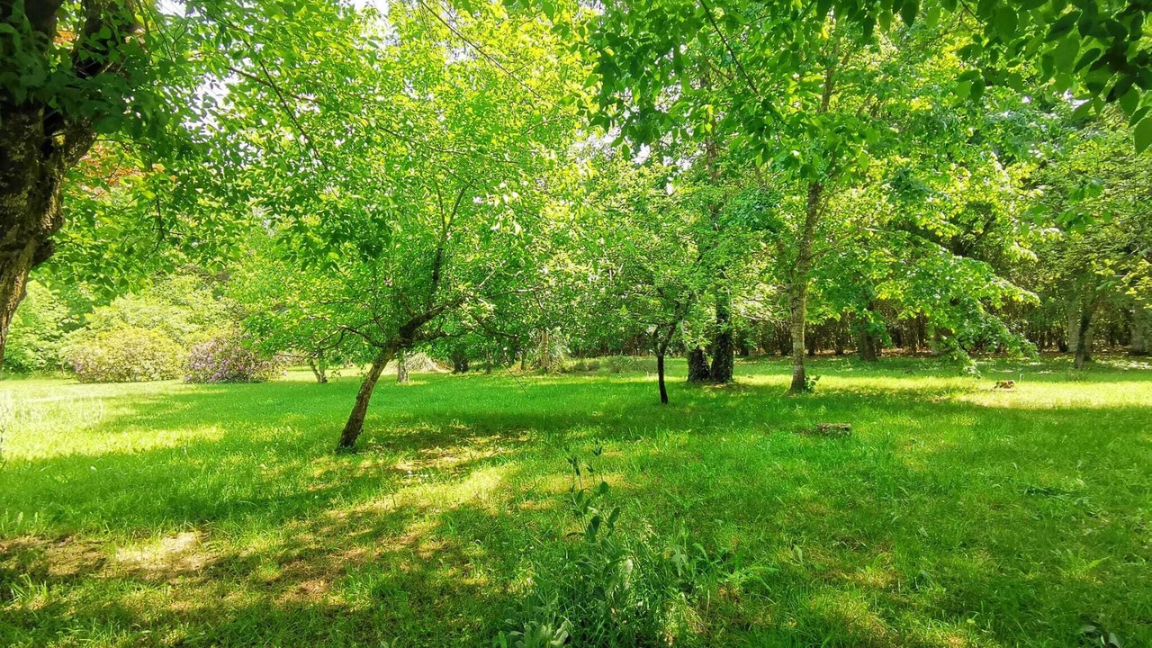 Photo of Outdoor in Mezos