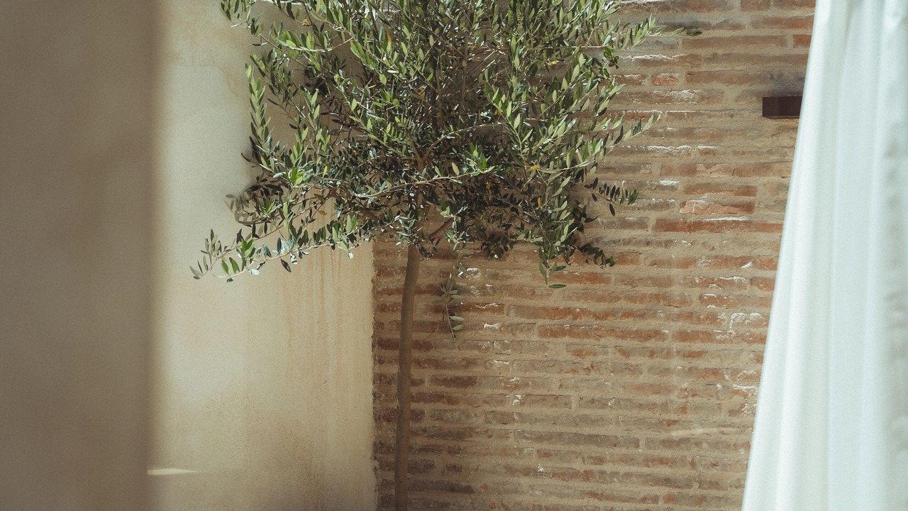 Photo of Outdoor in Torreilles