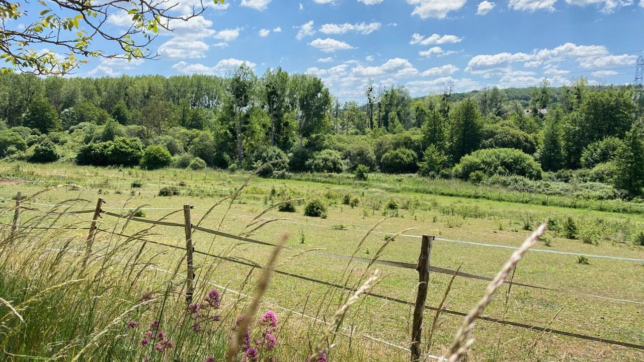 Photo of Others in Saint-Lubin-en-Vergonnois