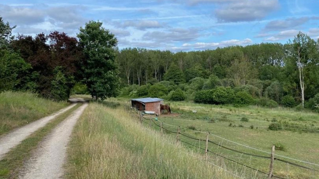 Photo of Others in Saint-Lubin-en-Vergonnois