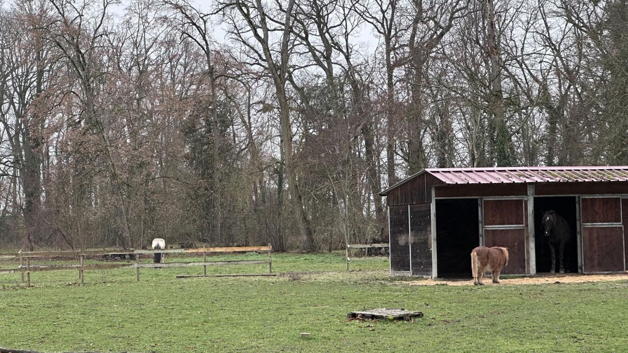 Photo of Outdoor in Souvigny