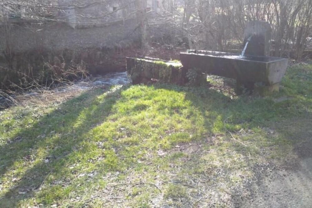Photo of Outdoor in Chambon-sur-Lac