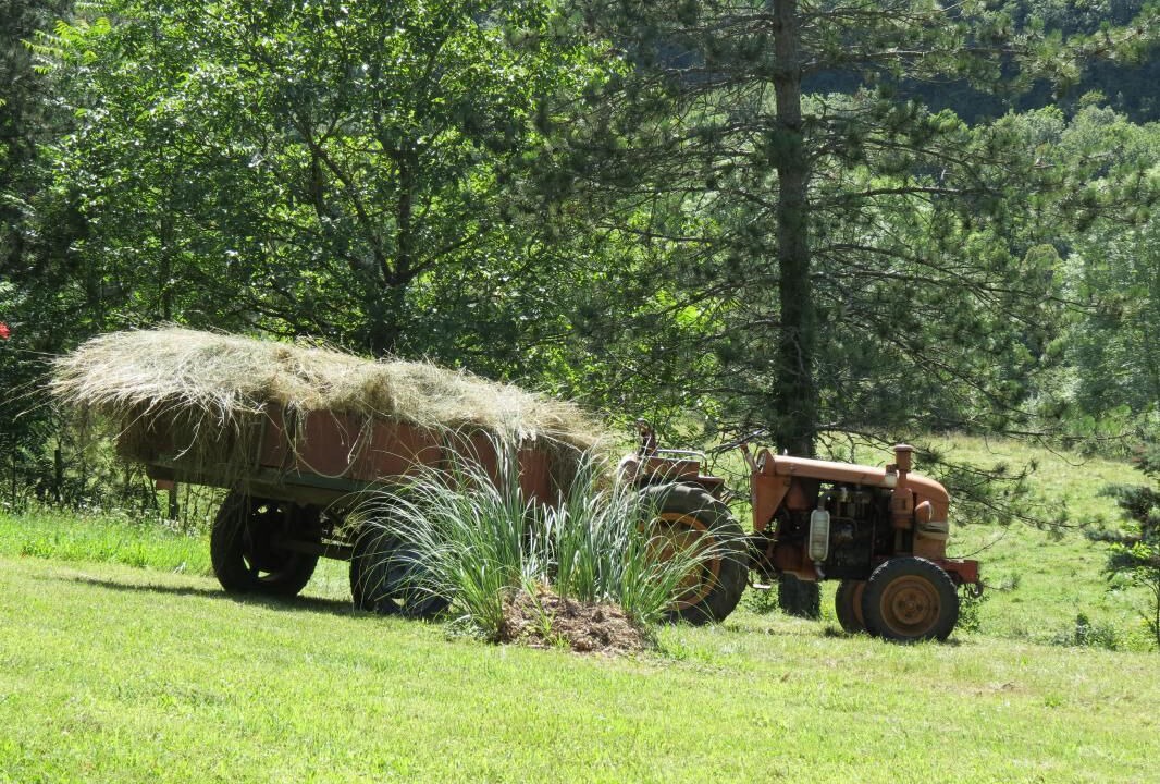 Photo of Outdoor in Contrevoz
