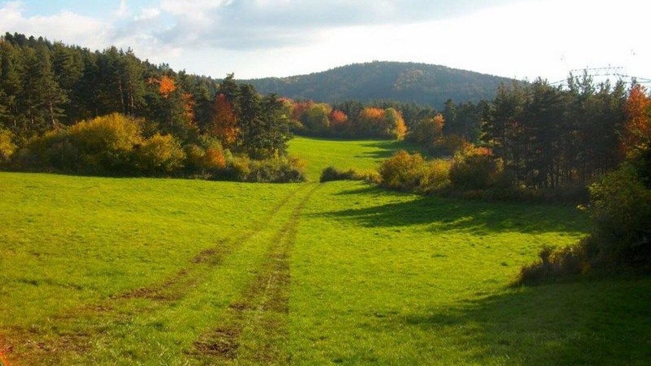 Photo of Outdoor in Saint-Privat-d'Allier
