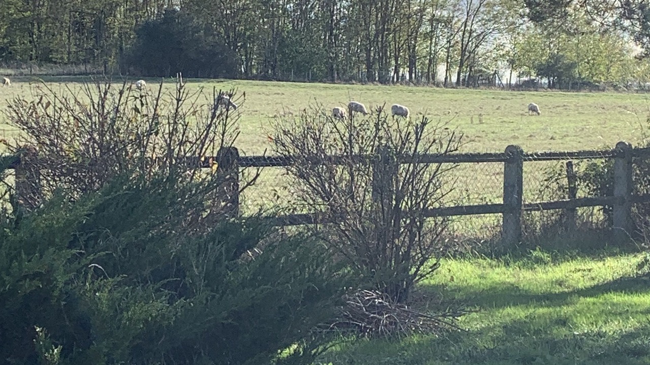 Photo of Outdoor in Avermes