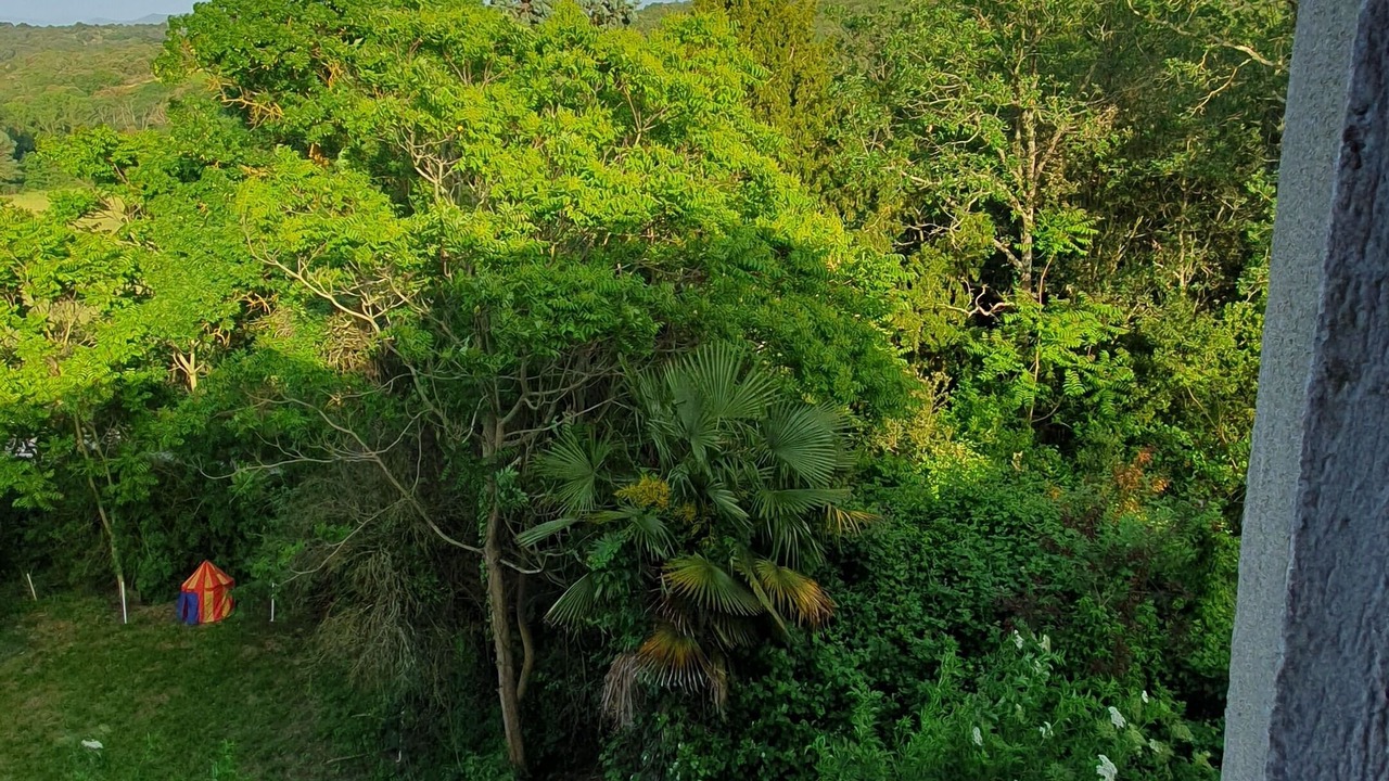 Photo of Outdoor in Alairac