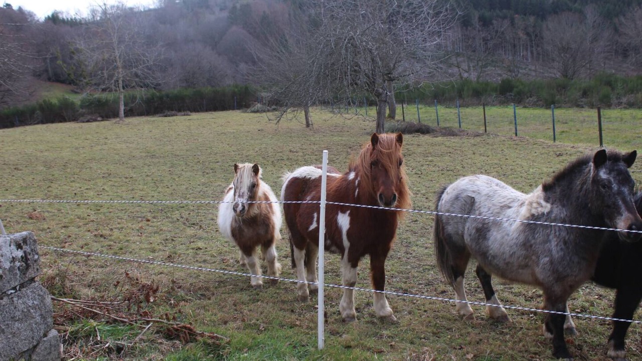 Photo of Others in Cunlhat