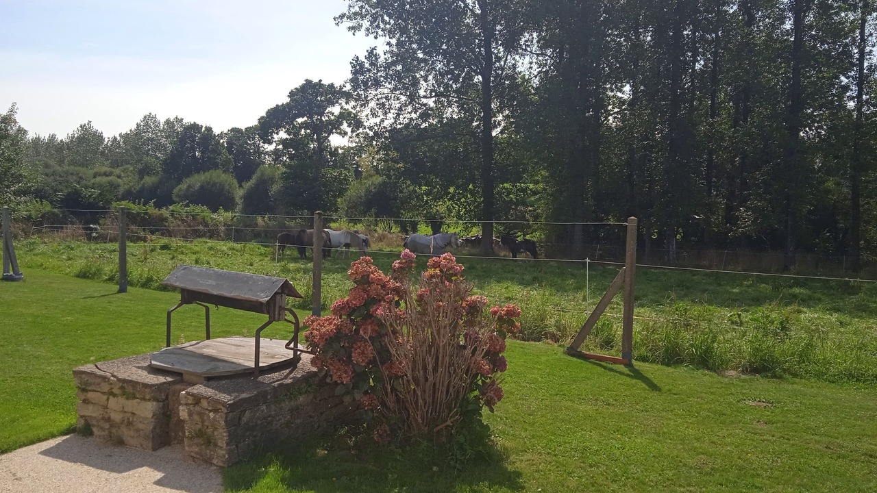 Photo of Outdoor in Melgven