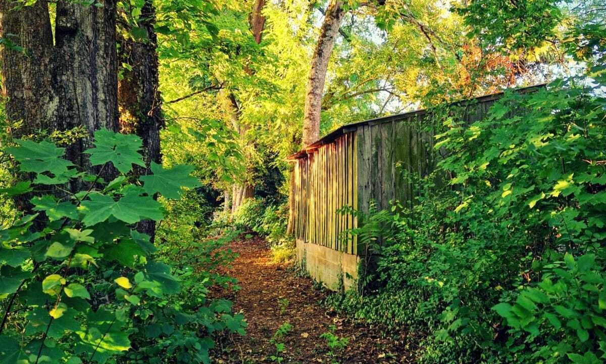 Photo of Outdoor in Fussy