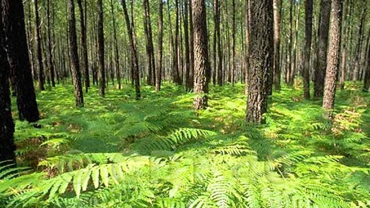 Photo of Outdoor in Saint-Vincent-de-Paul
