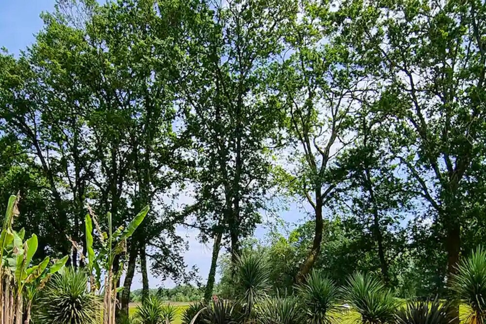 Photo of Outdoor in Saint-Jean-de-Marsacq
