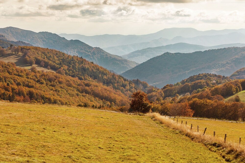 Photo of Others in Cros-de-Georand